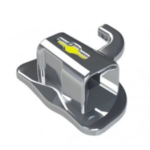BX2 2nd Molar L7L
